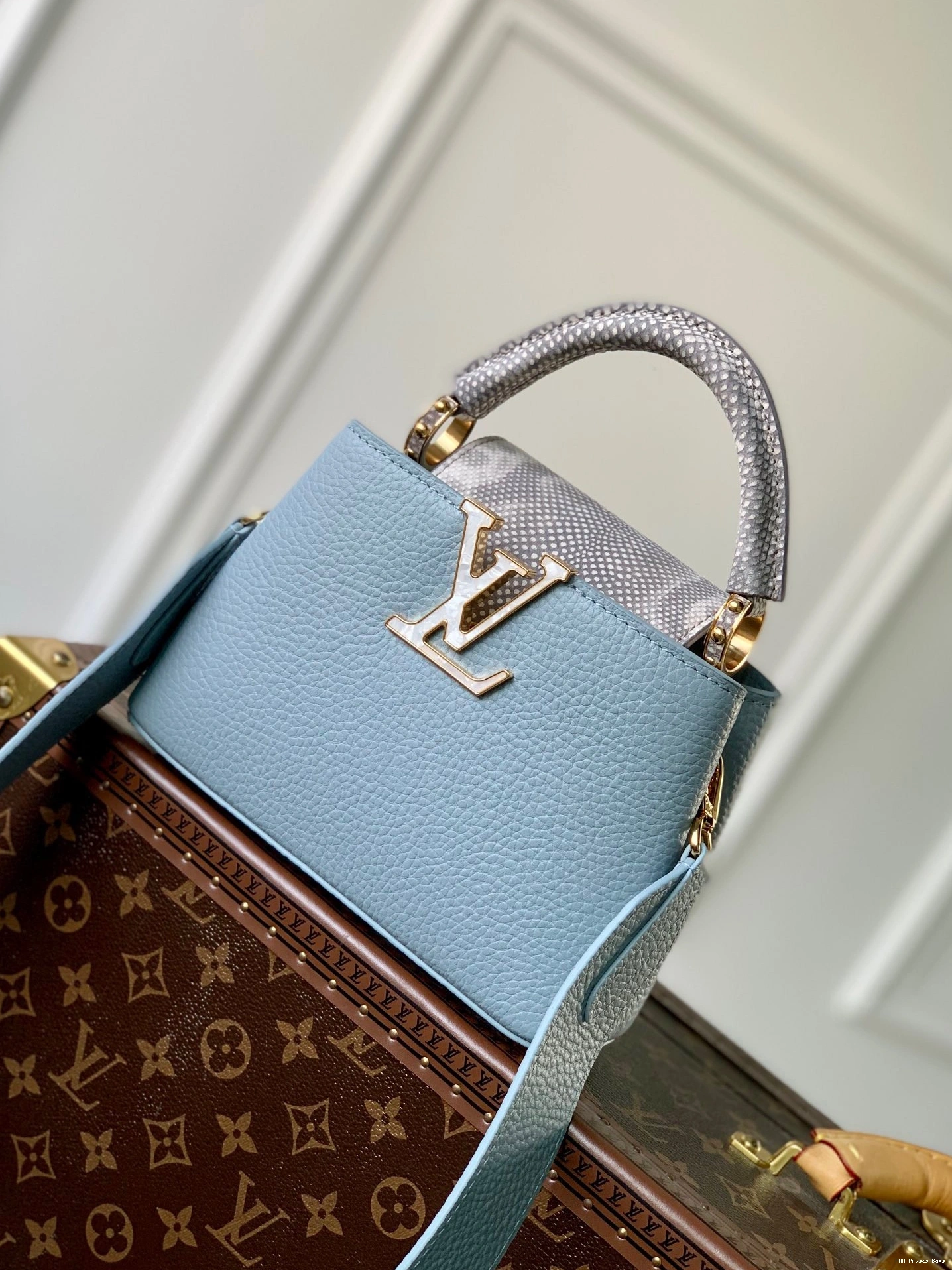 AAA Pruses Bags LOUIS CAPUCINES MINI VUITTON 0715